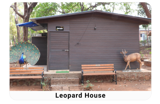 Leopard House